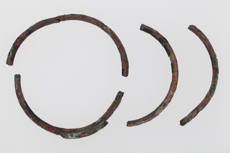 Fragmenty spirali brązowej