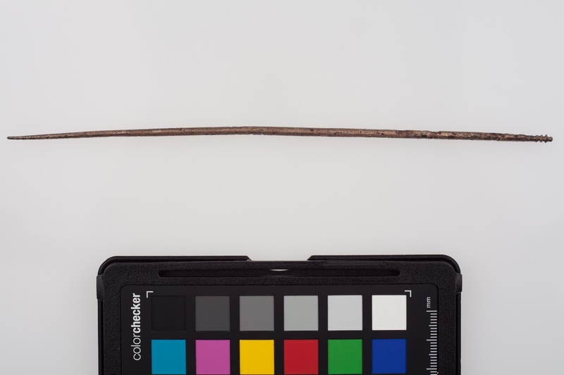 Szpila brązowa o główce poprzecznie żebrowanej