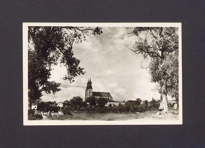 Widok z zachodniego brzegu jeziora Jelonek na gnieźnieńską katedrę.