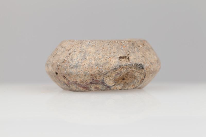 Przęślik gliniany dwustożkowaty