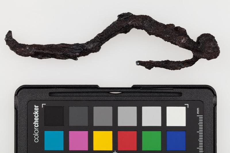 Zapinka żelazna typu Certosa