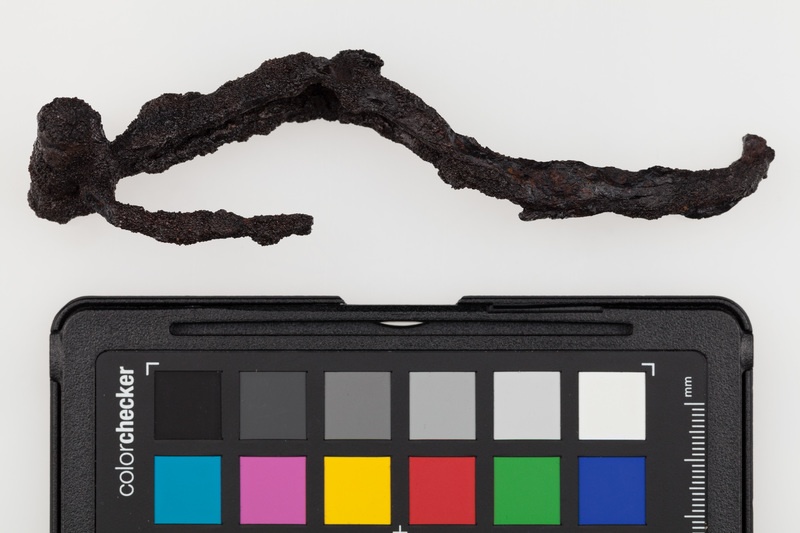 Zapinka żelazna typu Certosa