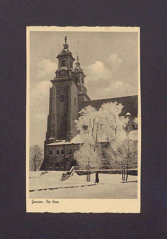 Widok na katedrę z pałacu prymasowskiego.