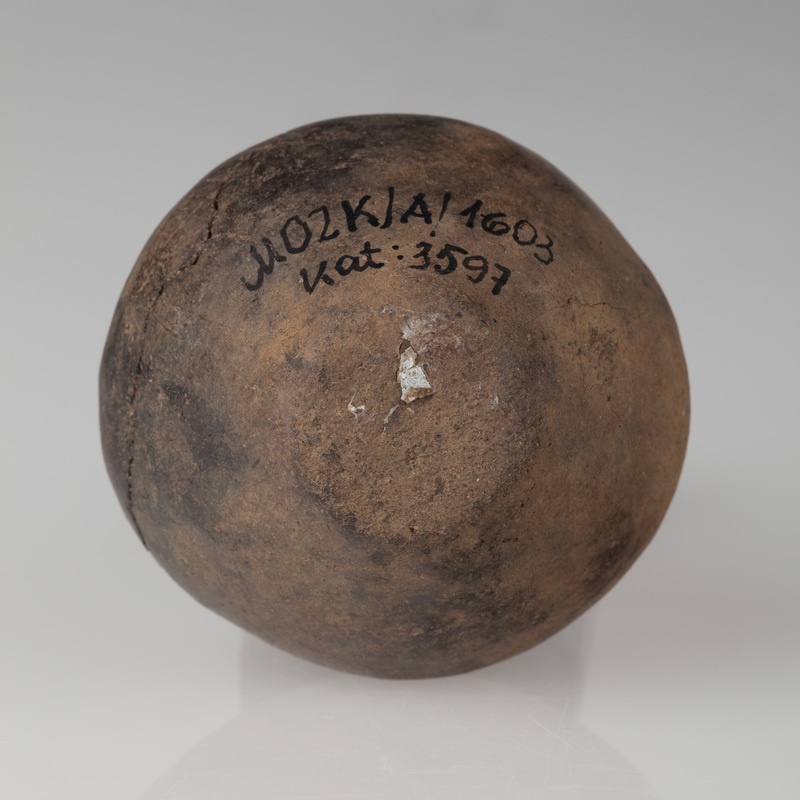 Grzechotka dwustożkowata