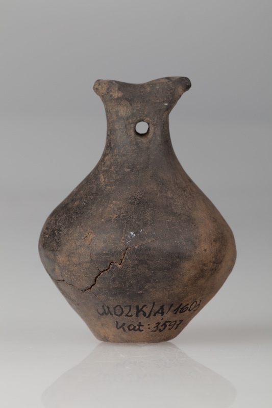 Grzechotka dwustożkowata