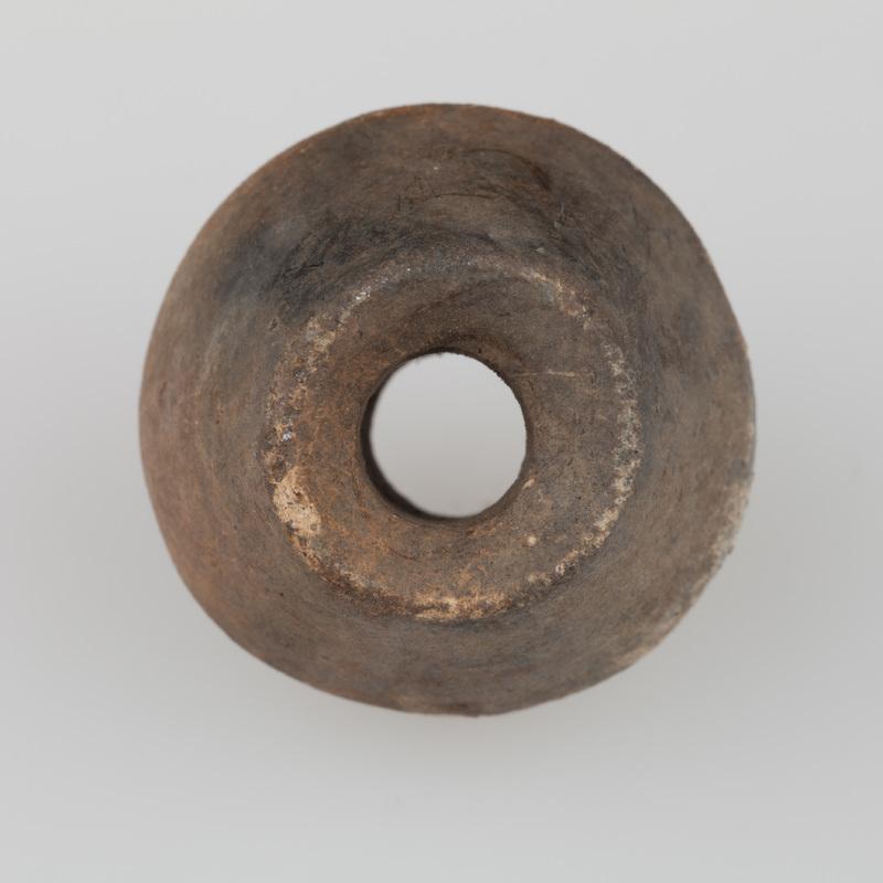 Przęślik dwustożkowaty