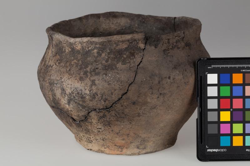 Waza szerokootworowa 