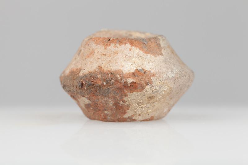 Dwustożkowaty przęślik gliniany