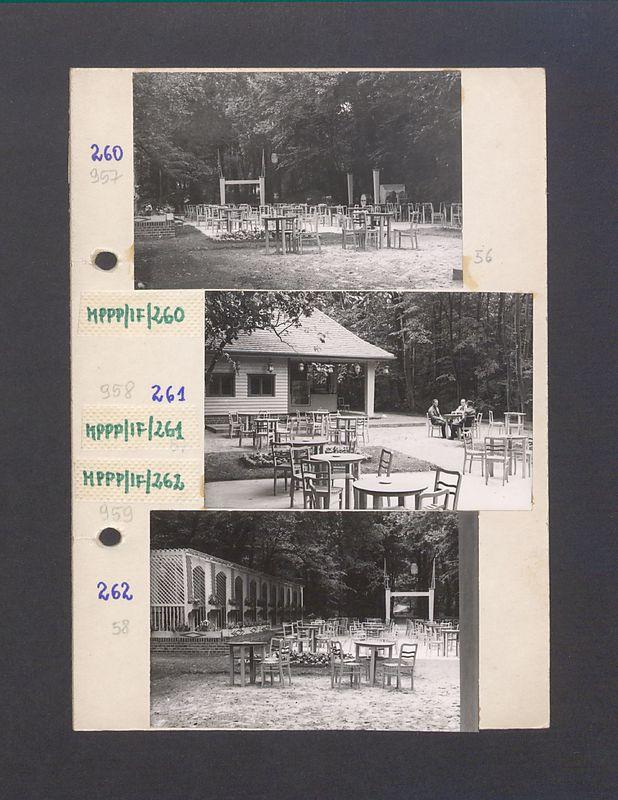 Park Miejski i kawiarnia Bractwa Kurkowego w Gnieźnie.