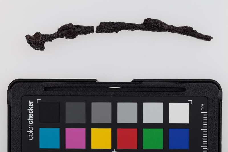 Fragmentarycznie zachowana szpila żelazna