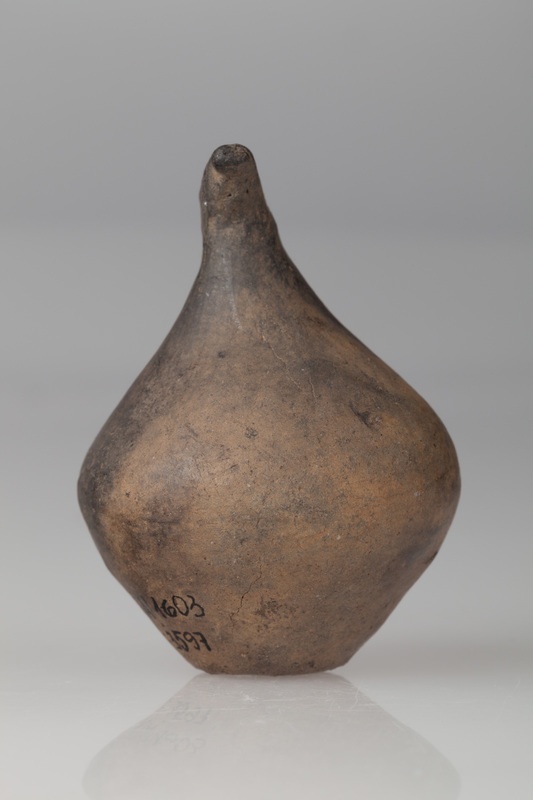 Grzechotka dwustożkowata