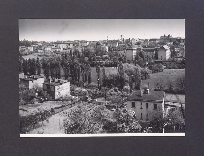 Panorama miasta. Widok na północno-zachodni fragment.