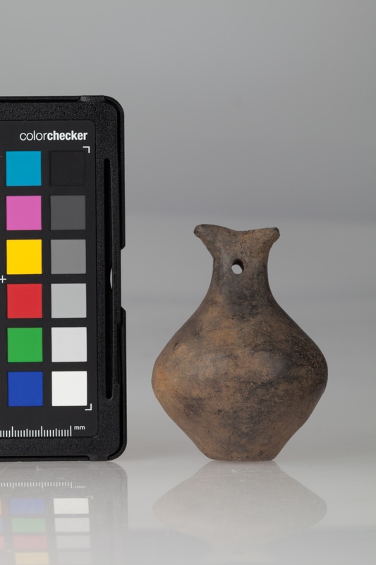 Grzechotka dwustożkowata