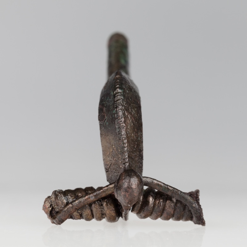 Zapinka dwudzielna z wysoką pochewką