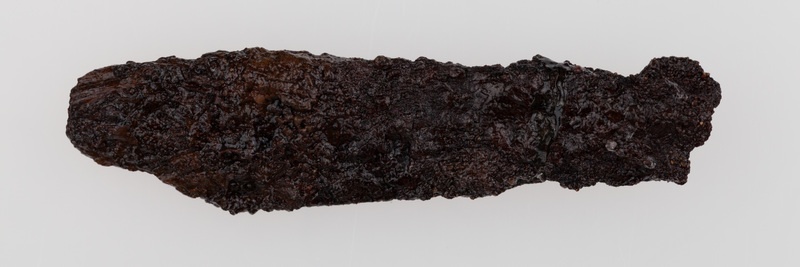 Fragment ostrza żelaznego