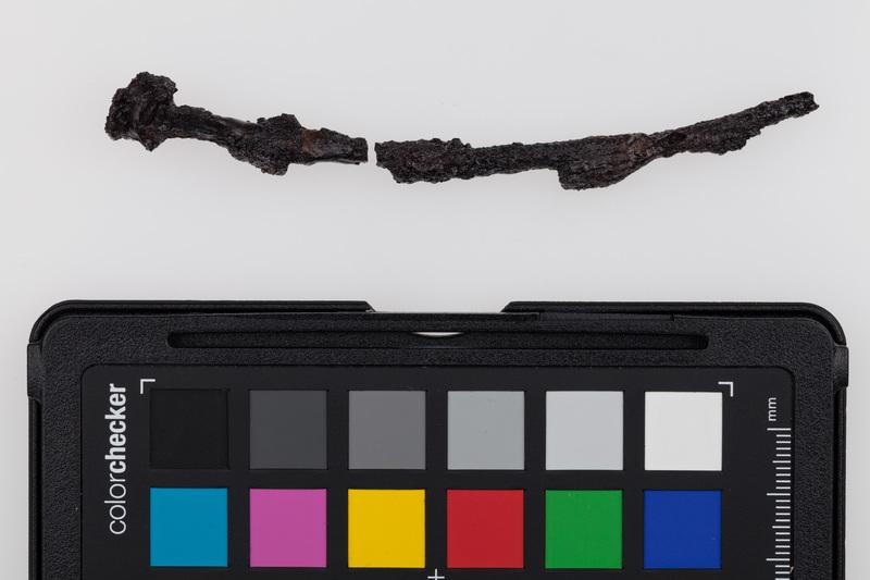 Fragmentarycznie zachowana szpila żelazna