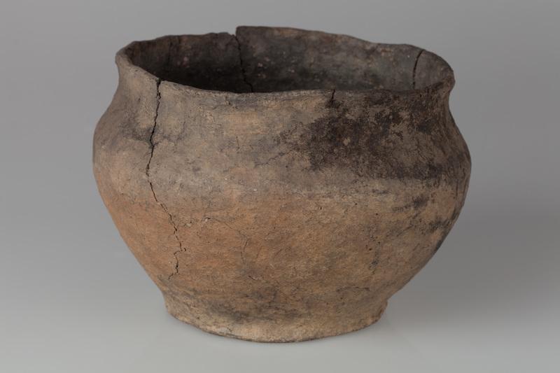 Waza szerokootworowa 