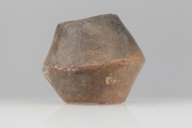 Przęślik dwustożkowaty