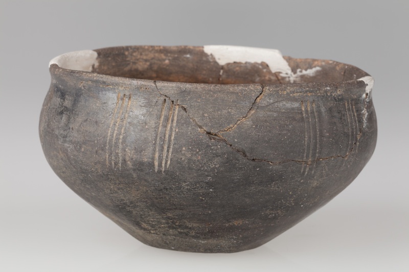 Misa z baniastym brzuścem