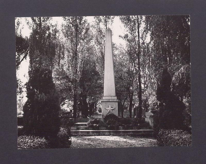Pomnik ku czci poległych w latach 1939-1945 w parku im. Tadeusza Kościuszki.