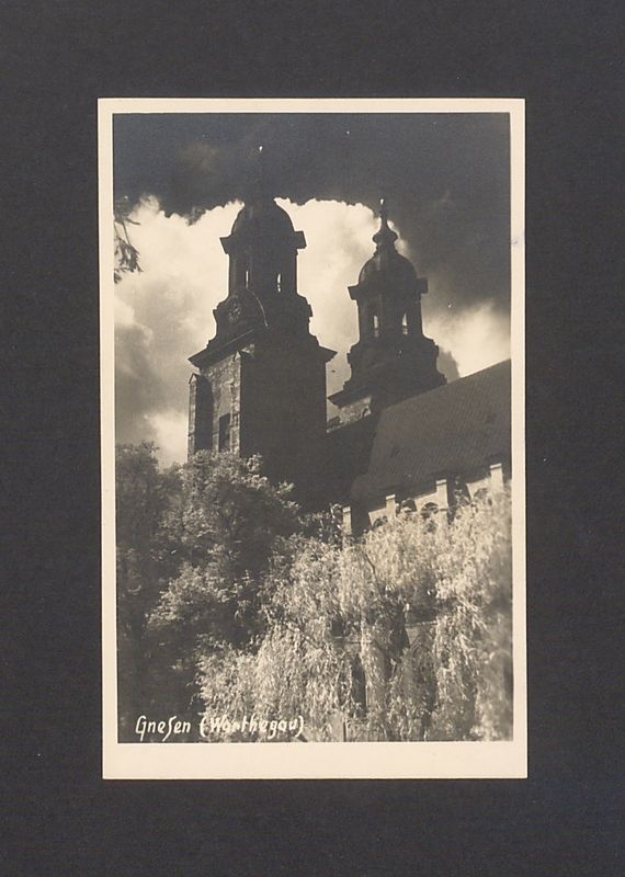 Widok na wieże katedry.