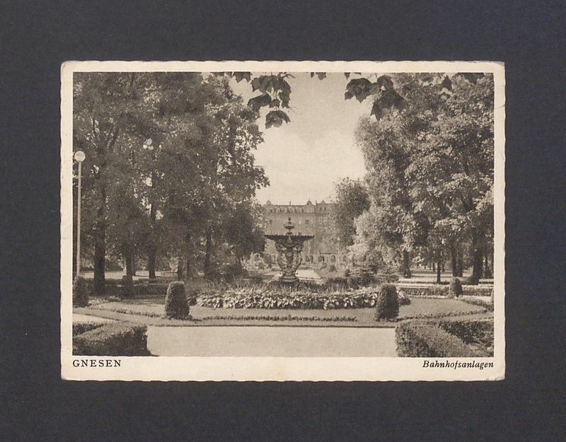 Park im. Tadeusza Kościuszki.