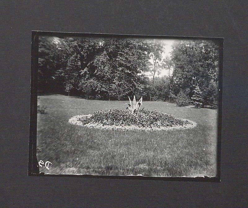 Szklane negatywy Dionizego Scholtza. Park Miejski - klomb.