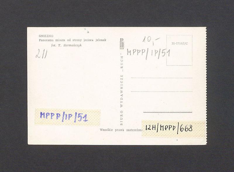 Panorama miasta od strony jeziora Jelonek.