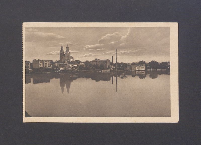 Gniezno. Widok ogólny z katedrą.