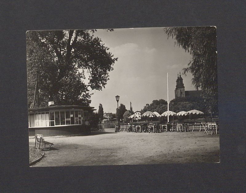 Fragment Parku Piastowskiego, w głębi katedra.