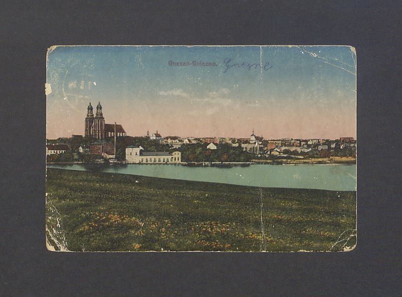 Widok na katedrę i panoramę miasta.