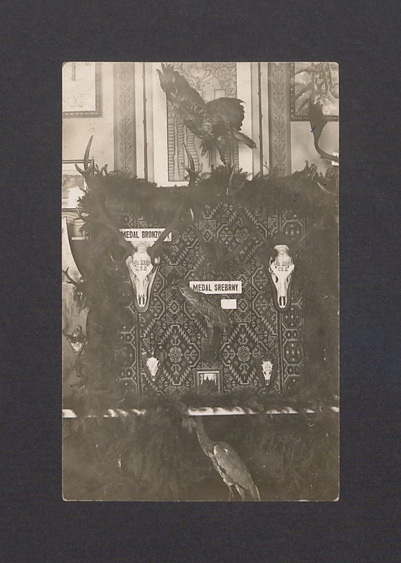 Wystawa produktów rolniczych w Hotelu Europejskim
Prezentacja poroży.
