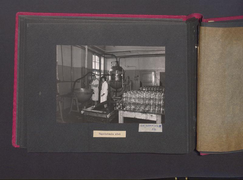 Poszczególne etapy produkcji w Wytwórni Win przy ul. Park Kościuszki 17. Napełnianie słoi.