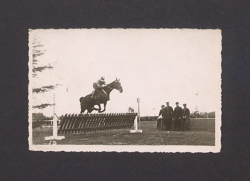 Zawody konne. Skok przez przeszkodę.