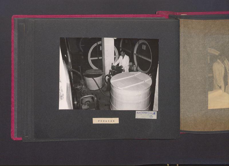 Poszczególne etapy produkcji w Wytwórni Win przy ul. Park Kościuszki 17. Piwnica.