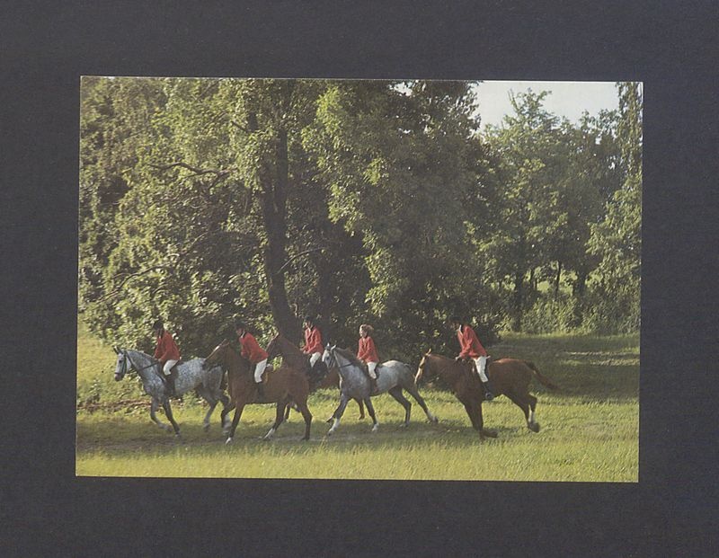 Państwowe Stado Ogierów w Gnieźnie.