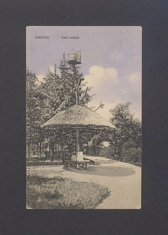 Gniezno. Park Miejski z altaną.