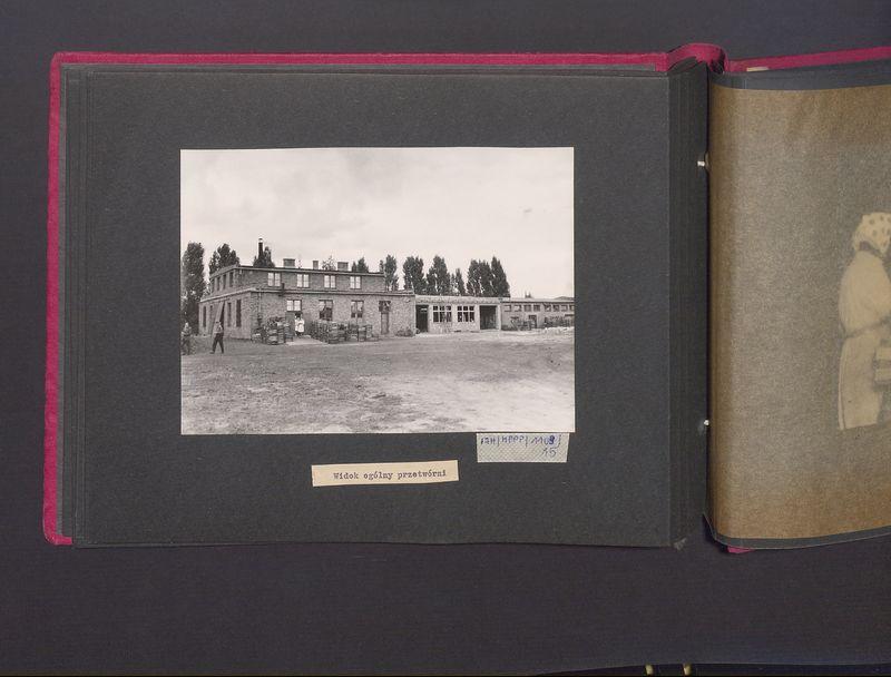 Poszczególne etapy produkcji w Wytwórni Win przy ul. Park Kościuszki 17. Widok ogólny przetwórni.