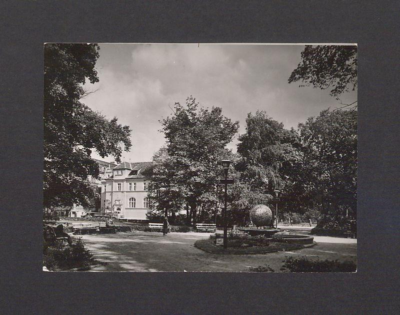 Fragment parku im. T. Kościuszki.