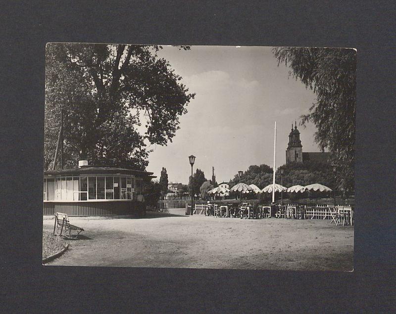 Fragment Parku Piastowskiego, w głębi katedra.