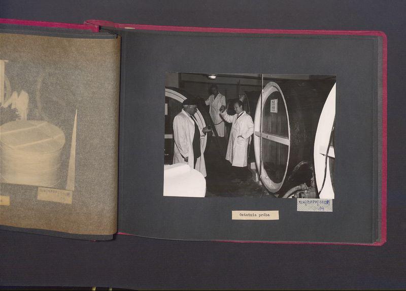 Poszczególne etapy produkcji w Wytwórni Win przy ul. Park Kościuszki 17. Ostatnia próba.