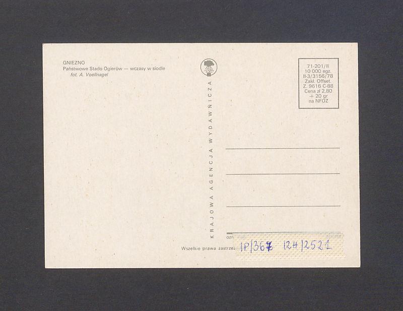 Państwowe Stado Ogierów w Gnieźnie.