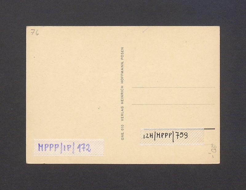 Katedra od strony południowej.