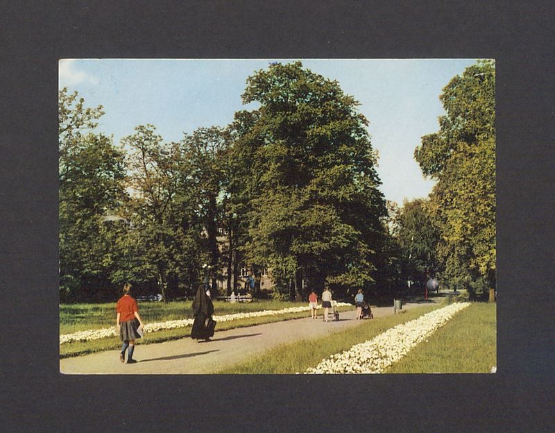 Park Kościuszki.