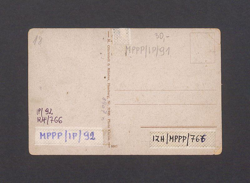 Ul. Tumska i katedra.