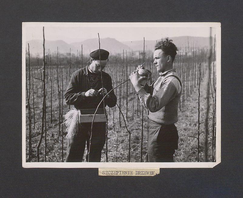 Tadeusz Kulisiewicz, fotografia