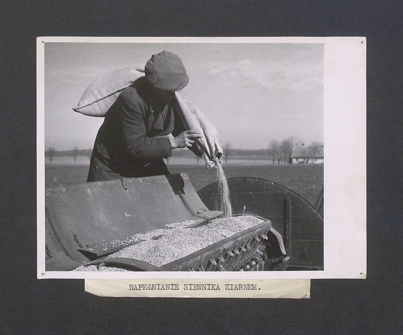 Napełnianie siewnika ziarnem