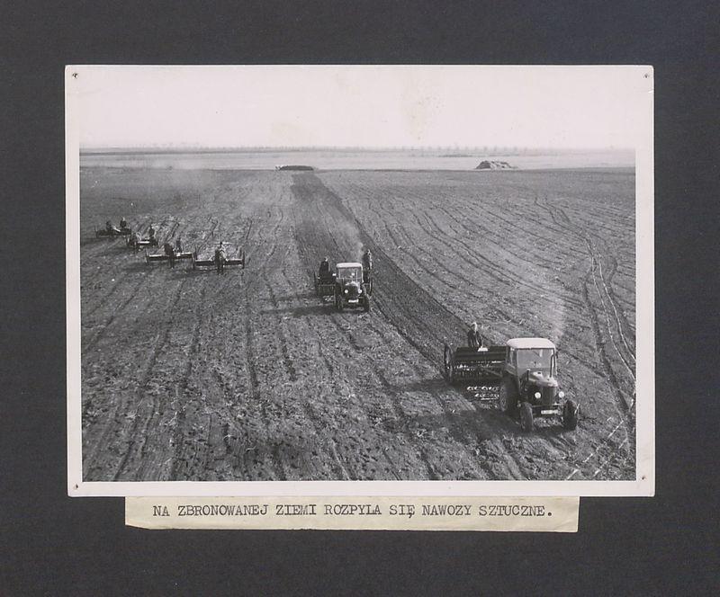 Na zbronowanej ziemi rozpyla się nawozy sztuczne