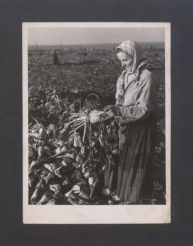 Tadeusz Kulisiewicz, fotografia