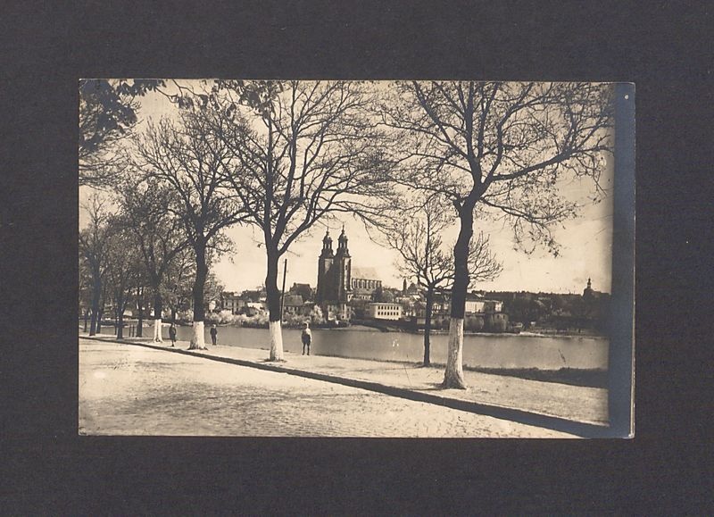 Widok na katedrę od strony jeziora Jelonek.